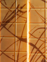 Catch Me If Pecan